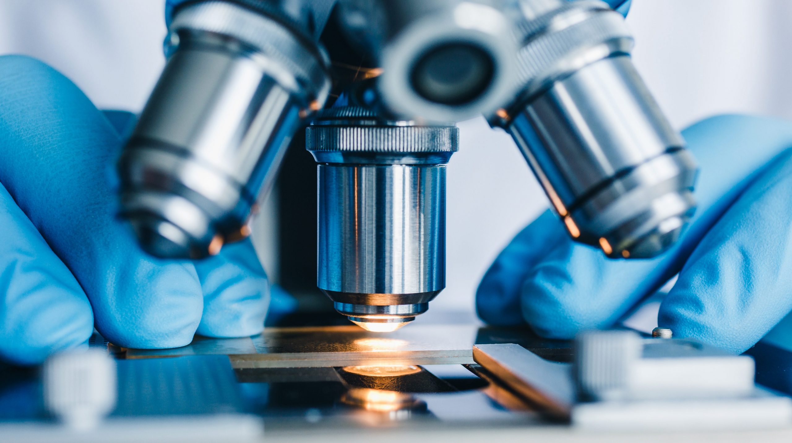 Microscopy Market Size, Share, Industry Trends, Growth Factors and Forecast 2025-2030