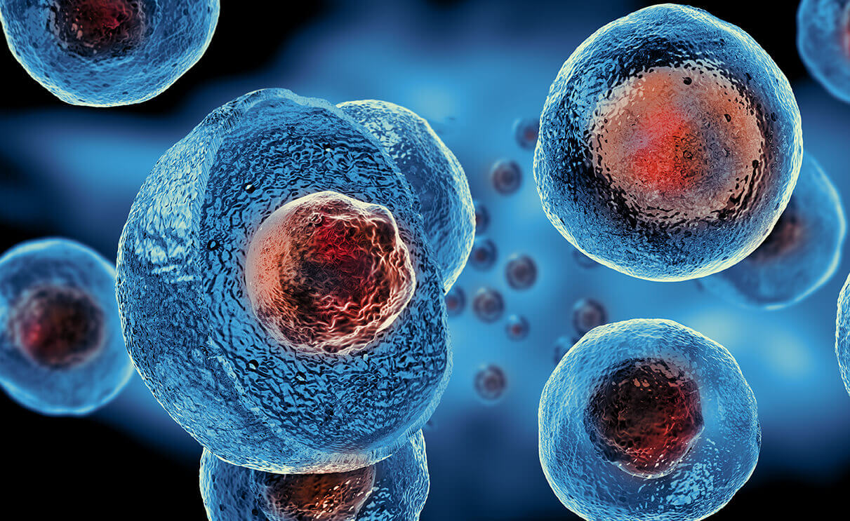 Stem Cell Therapy Market